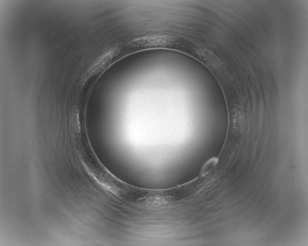 X0000052940254200508050903