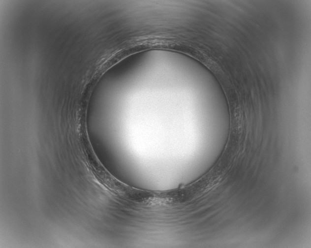 X0000052940255200508050903