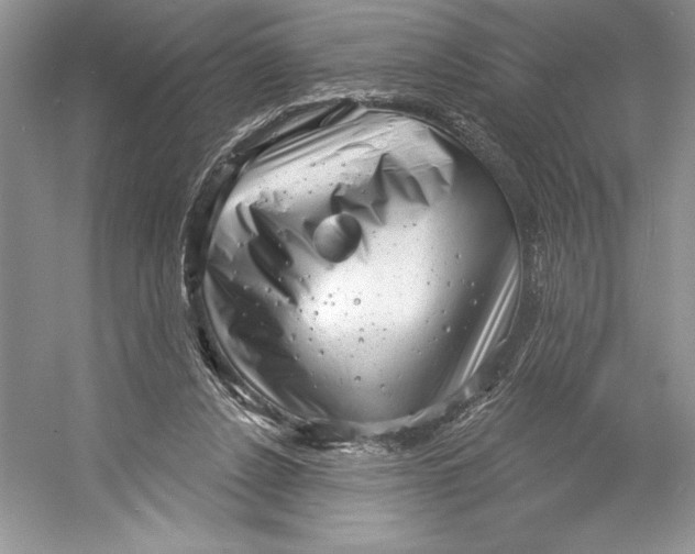 X0000052940256200508050903