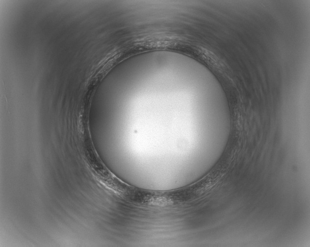 X0000052940258200508050903