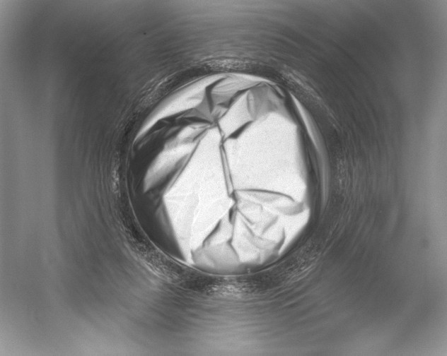 X0000052940259200508050903