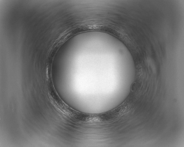 X0000052940262200508050903