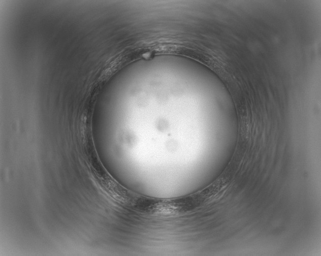 X0000052940263200508050903