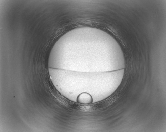 X0000052940265200508050903