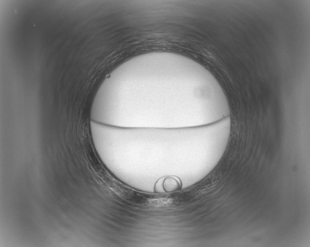 X0000052940266200508050903