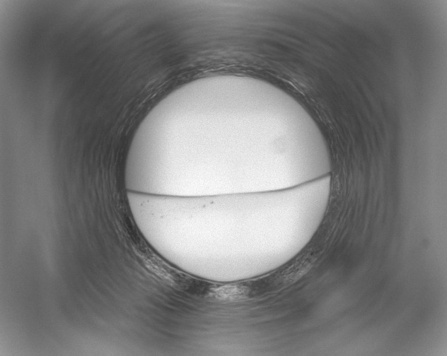 X0000052940269200508050903