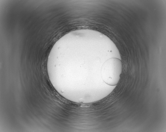 X0000052940270200508050903