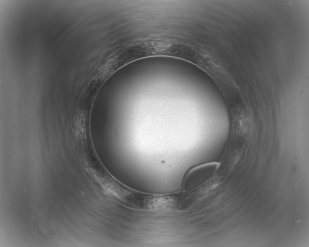 X0000052940274200508050903