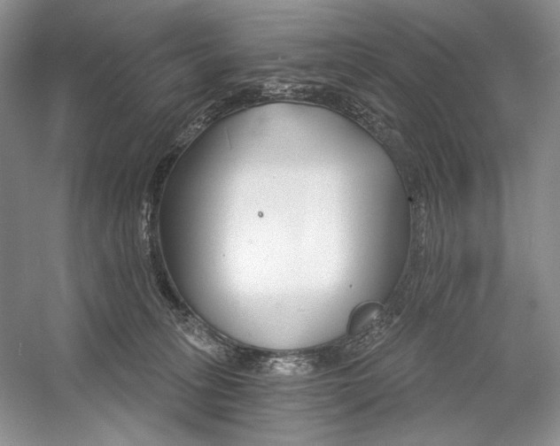 X0000052940275200508050903