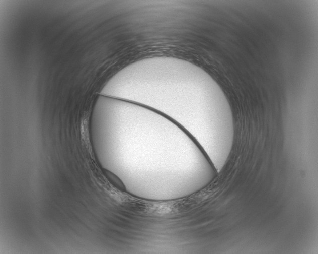 X0000052940276200508050903