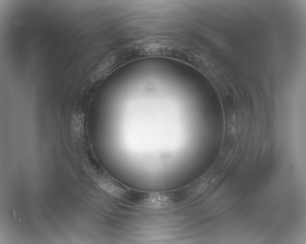 X0000052940278200508050903