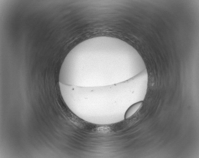 X0000052940279200508050903