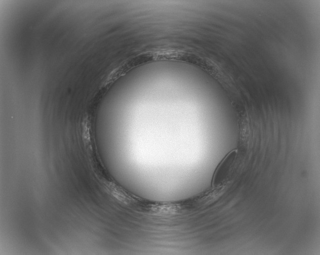 X0000052940282200508050904