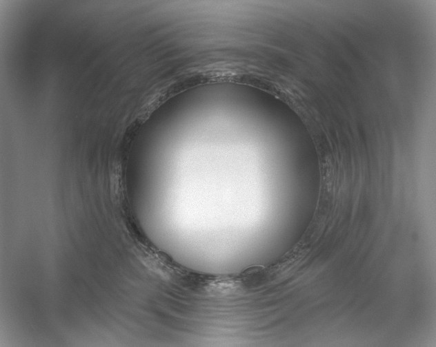 X0000052940283200508050904