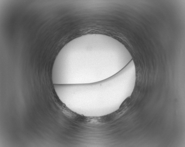 X0000052940285200508050904