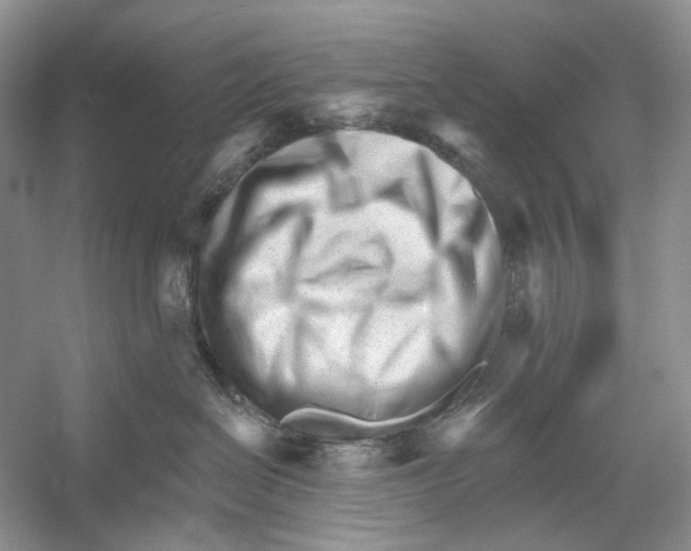 X0000052940286200508050904