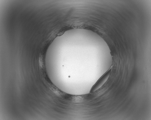 X0000052940287200508050904