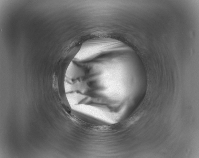 X0000052940288200508050904