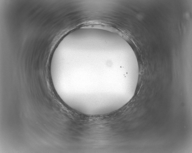 X0000052940289200508050903