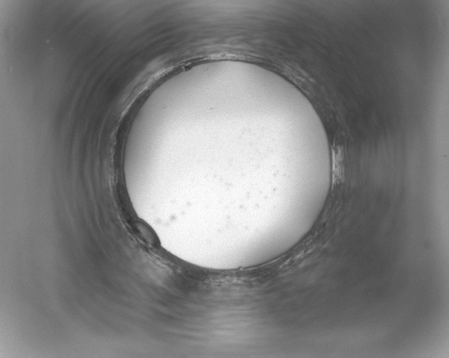 X0000052940291200508050903