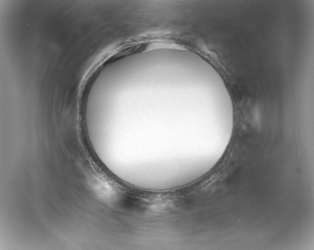 X0000052940293200508050903