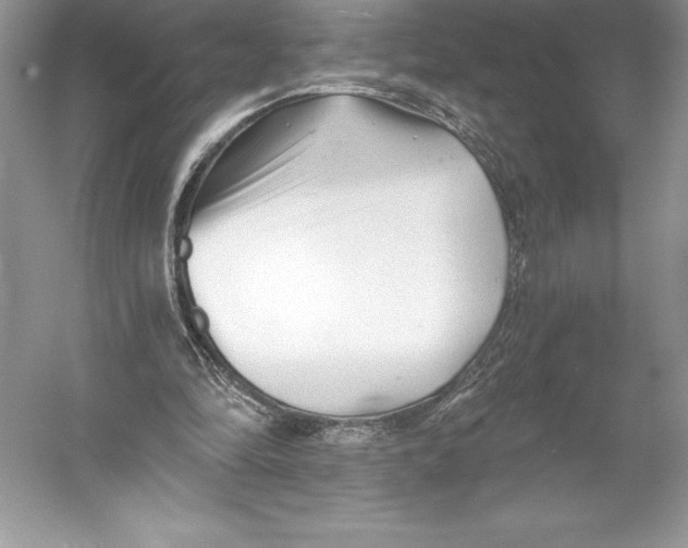 X0000052940294200508050903