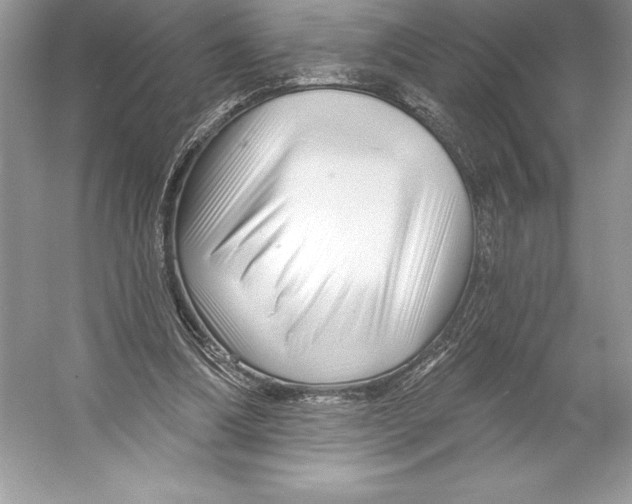 X0000052940298200508050903