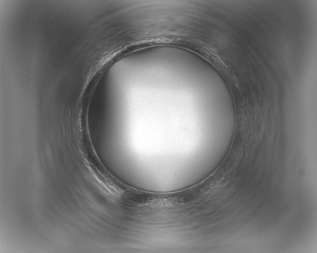 X0000052940299200508050903