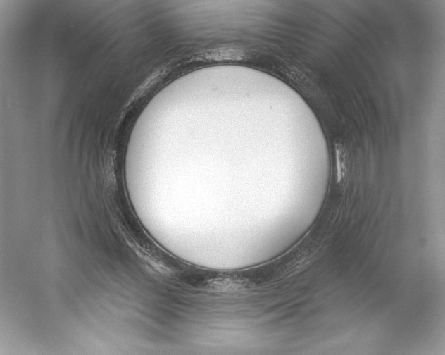 X0000052940300200508050903