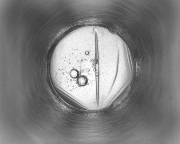 X0000052940301200508050903