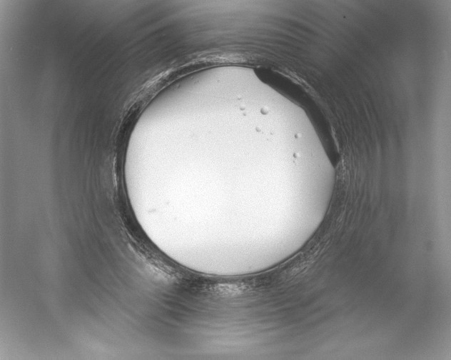 X0000052940302200508050903