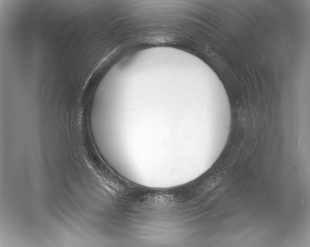 X0000052940304200508050903