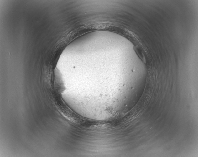 X0000052940307200508050903