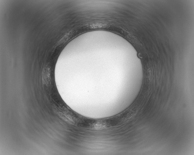 X0000052940308200508050903