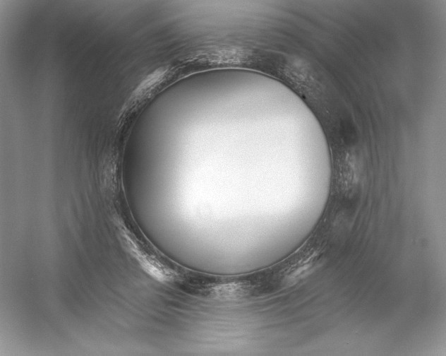 X0000052940309200508050902