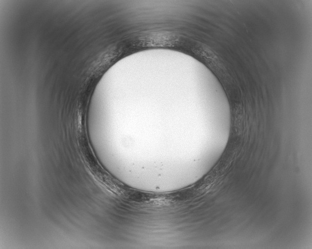 X0000052940310200508050902