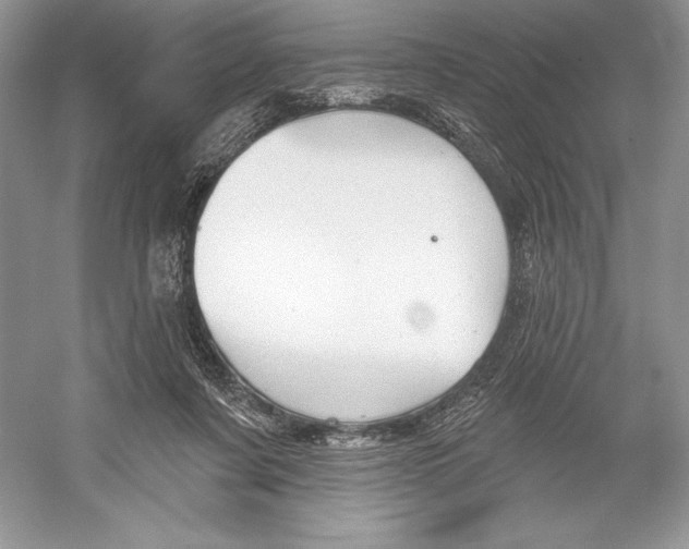 X0000052940311200508050902