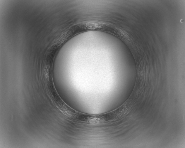 X0000052940315200508050902