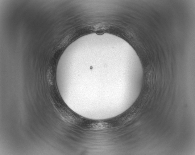 X0000052940316200508050902