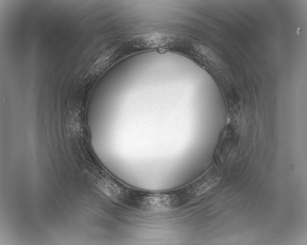 X0000052940317200508050902