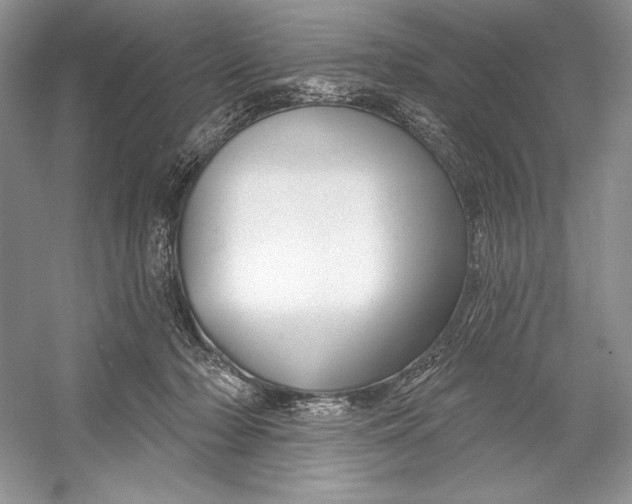 X0000052940318200508050902