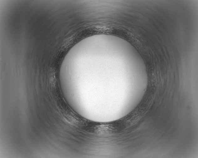 X0000052940320200508050902