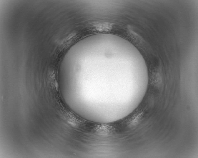 X0000052940321200508050902