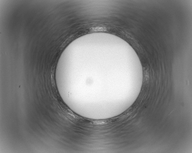 X0000052940322200508050902