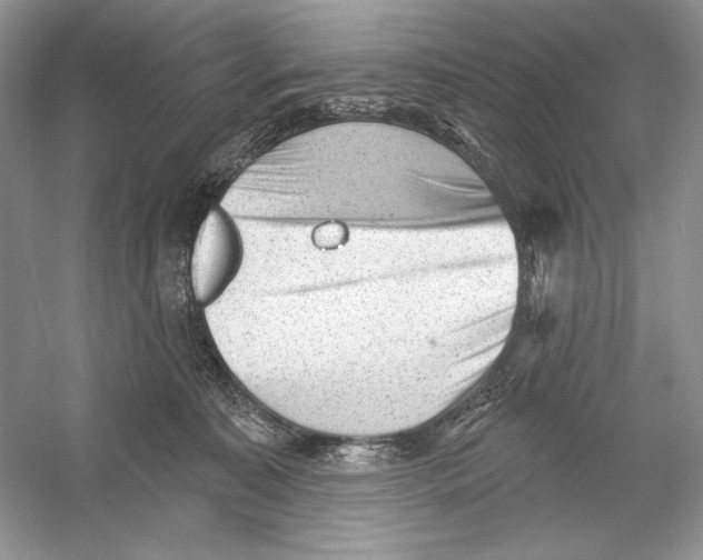 X0000052940323200508050902