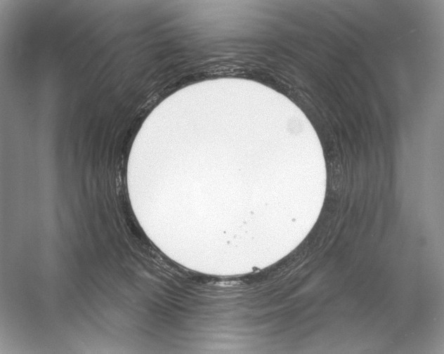 X0000052940324200508050902