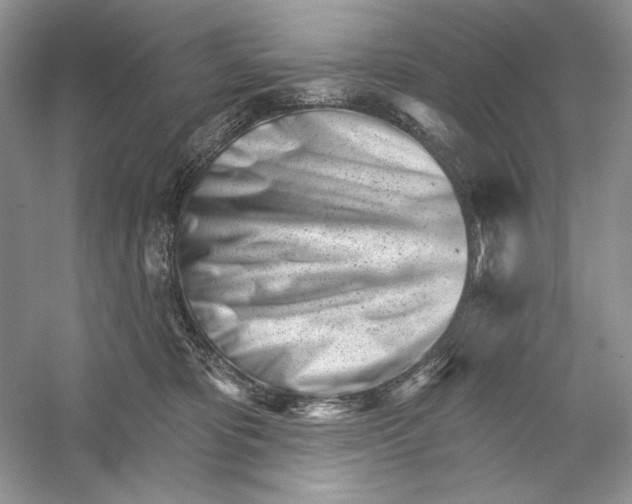 X0000052940325200508050902