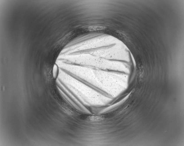 X0000052940327200508050902