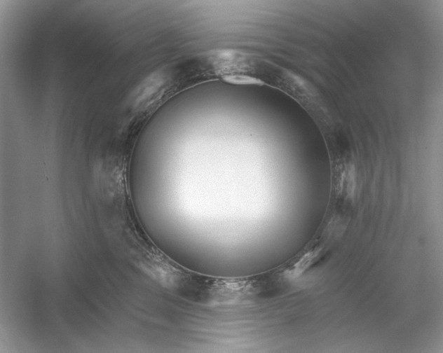 X0000052940329200508050902