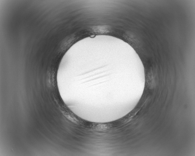 X0000052940330200508050902